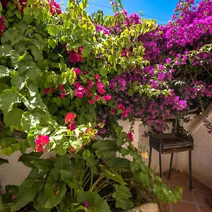 Apartment Pinos 2, Nerja